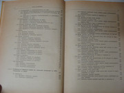 DSC01011