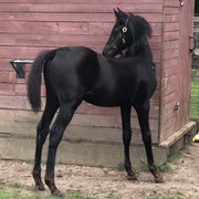 FA0ABCE4-9DA0-44A1-A4AA-A2AA5F032873