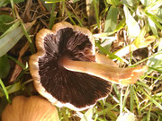 IMG_20190130_130957_157