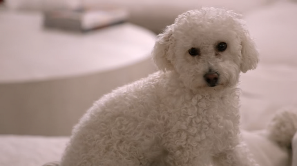 [Image: mhrs8fa8xo79.png]