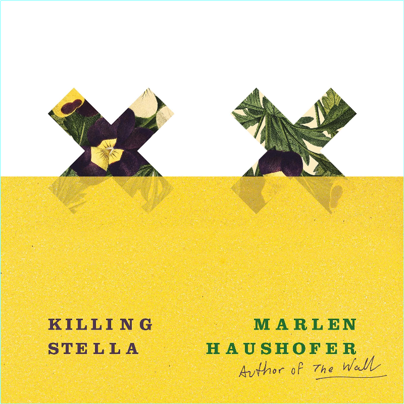 [Image: 3zrbj3x3c7ad.png]