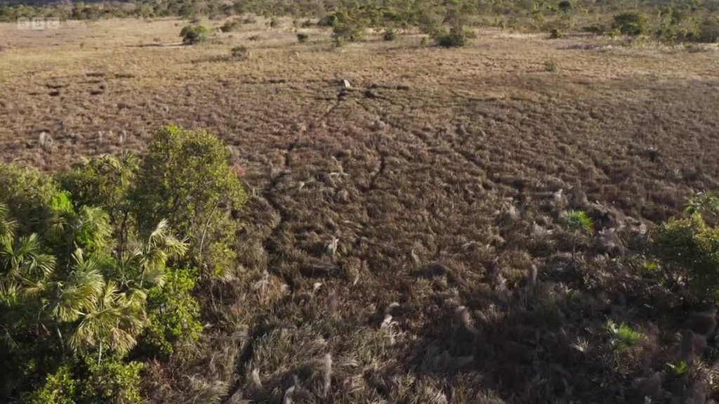 [Image: 1npu668eexrt.jpg]