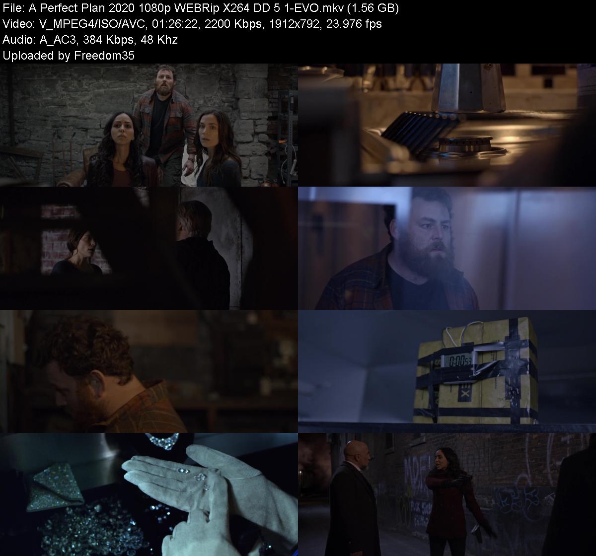 A-Perfect-Plan-2020-1080p-WEBRip-X264-DD