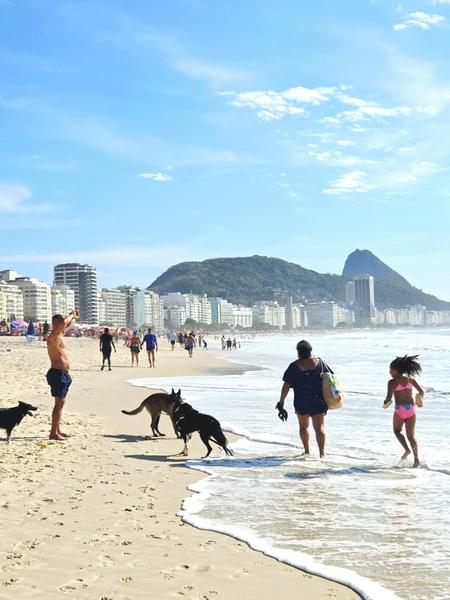 В джазе только девушки или аргентинско-бразильский калейдоскоп В джазе только девушки или аргентинско-бразильский калейдоскоп