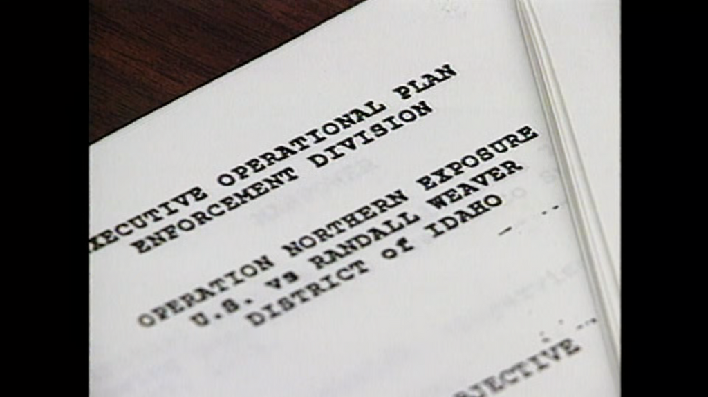 [Image: zy9rx89ecj5b.png]