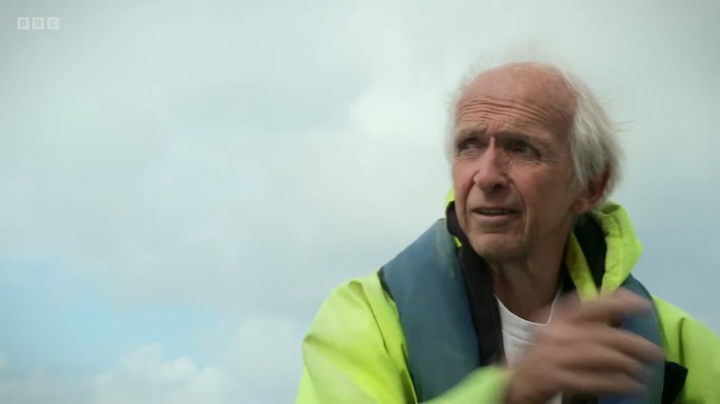 [Image: co71bug13xst.jpg]