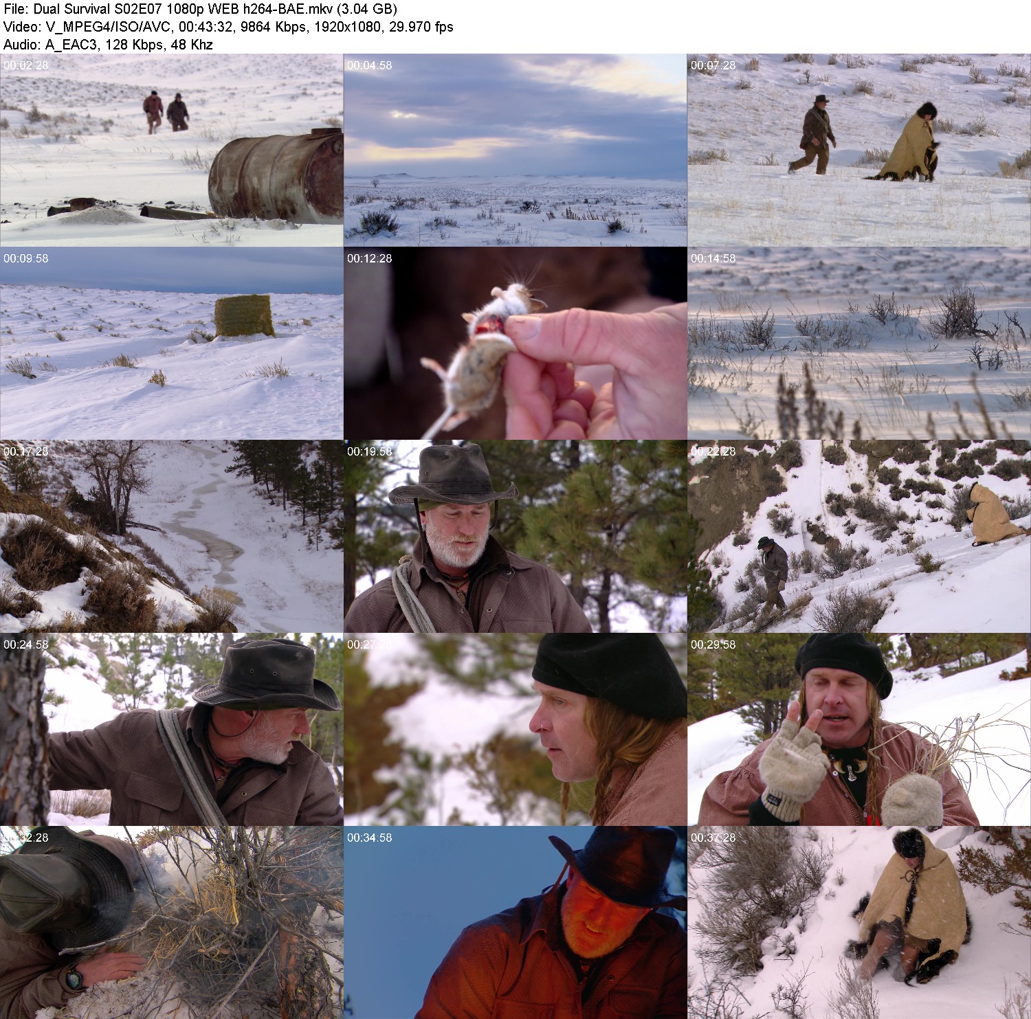 [Image: qe46w1kjf8qu.jpg]