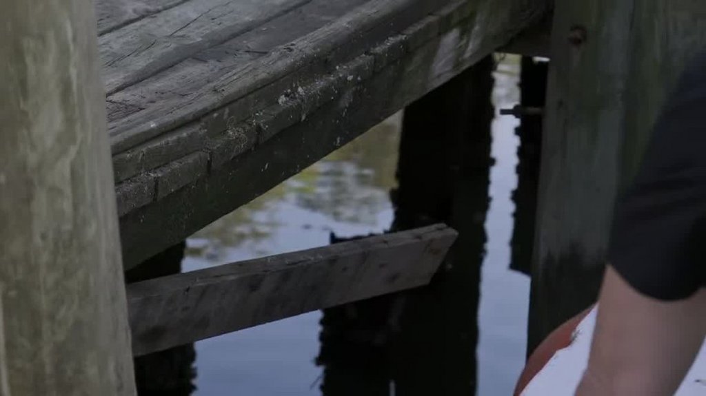 [Image: xlq4tm3qc31y.jpg]