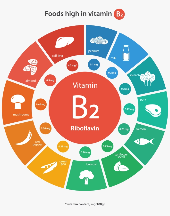 Food rich in vitamin B2 Riboflavin - Infographic