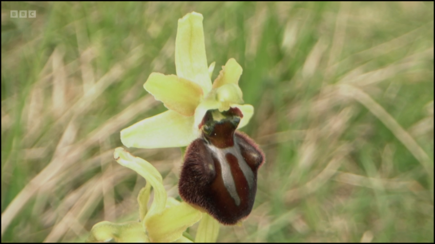 [Image: 3ig7sryyy3l6.png]