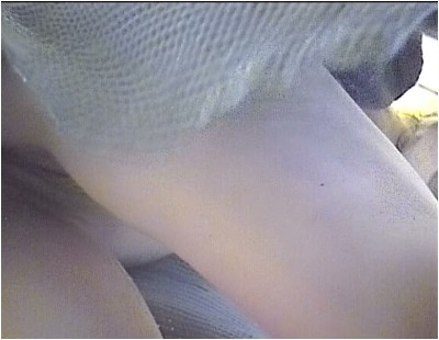 [Image: HID71893511341920260428.jpg]