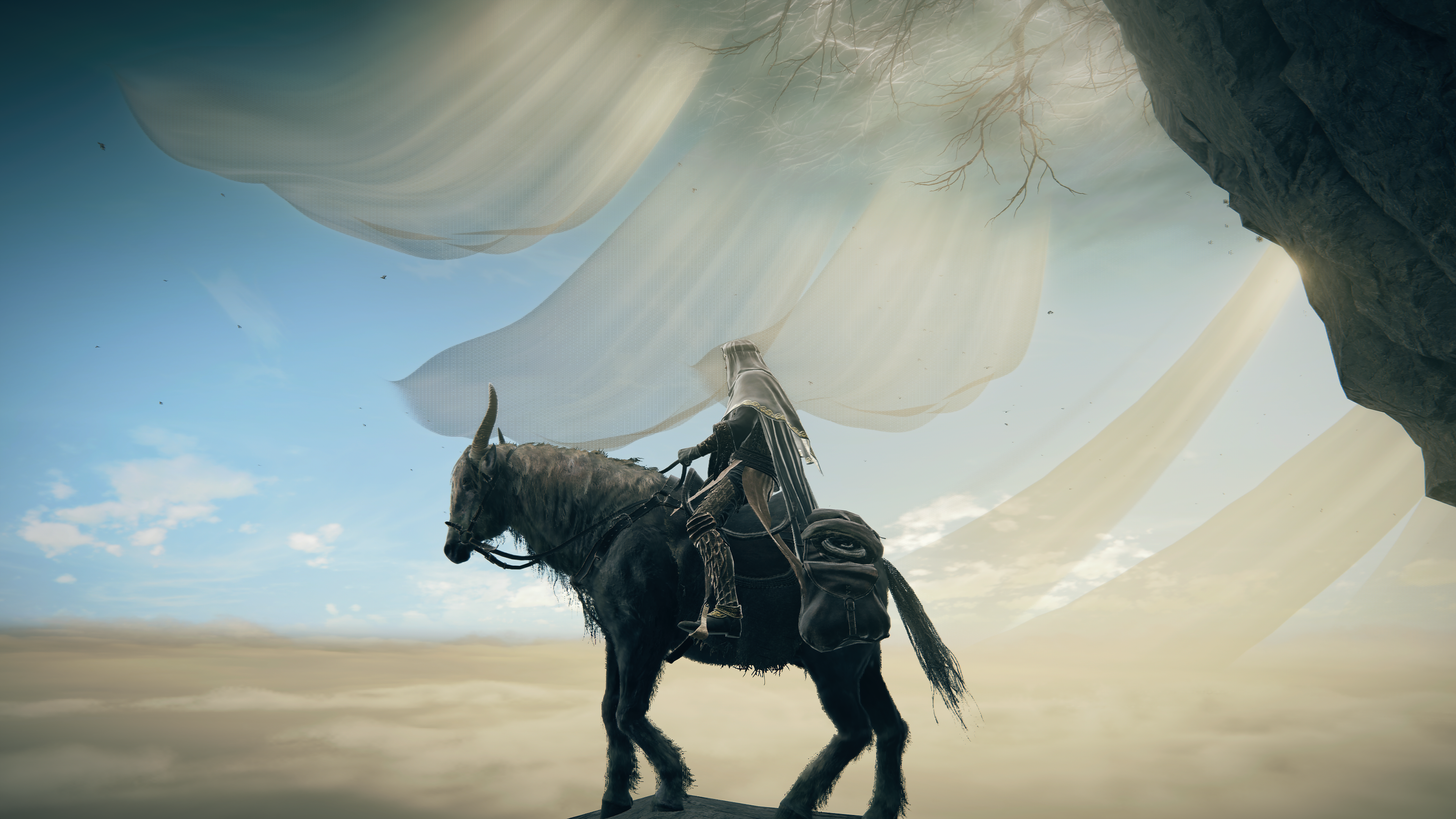ELDEN-RING-20240801045602.png