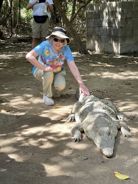 [Linked Image from i.postimg.cc]