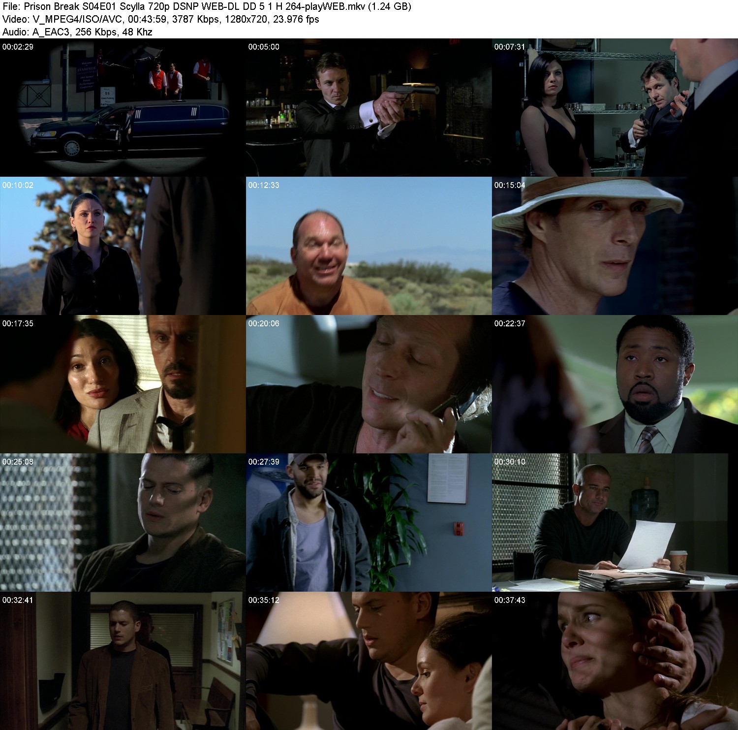 [Image: e2ek7y51ncao.jpg]