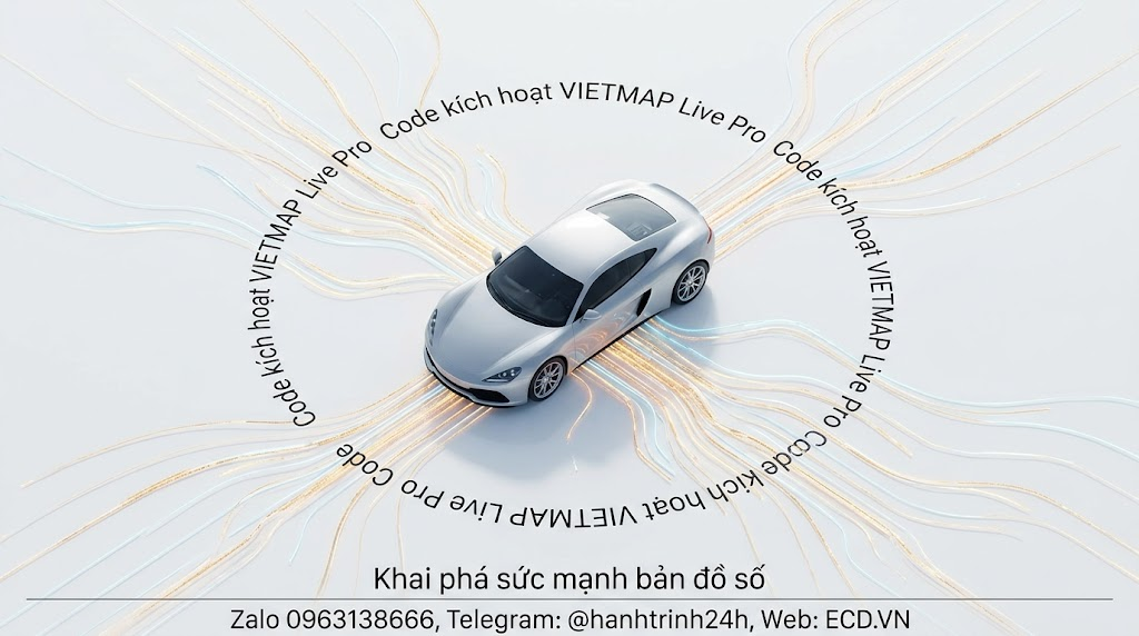 vietmap pro active 1 year