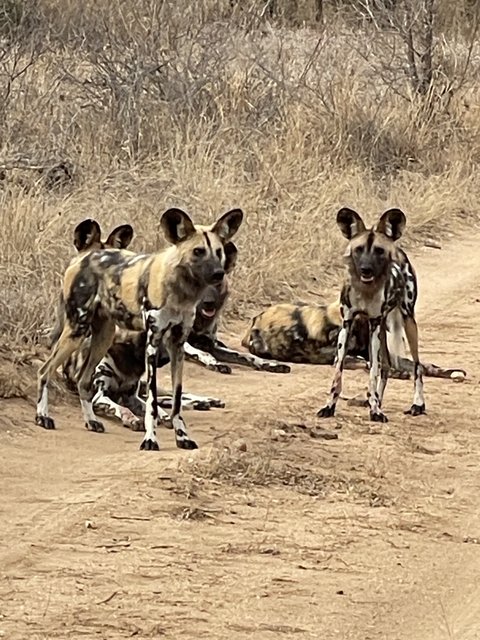 [Linked Image from i.postimg.cc]