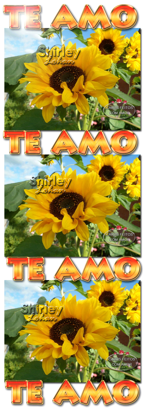 te-amo-12.gif