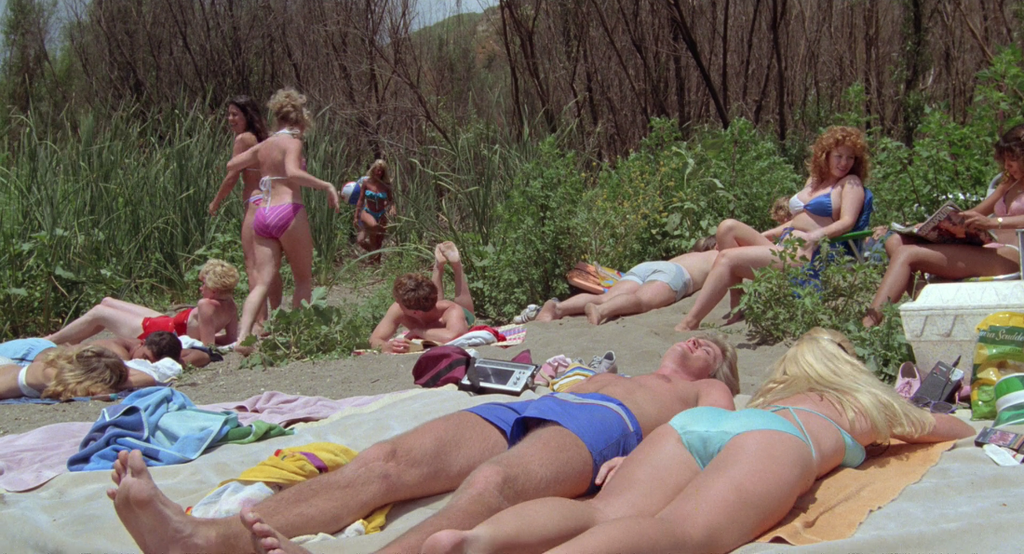 [Image: y27rw4fa3wza.png]