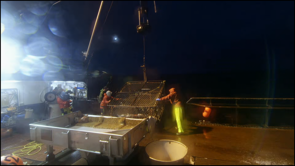 [Image: 006hjjjhmzj9.png]