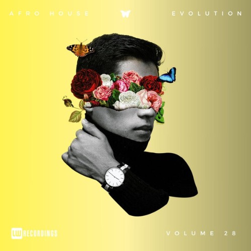 VA - Afro House Evolution Vol. 28 (2026)