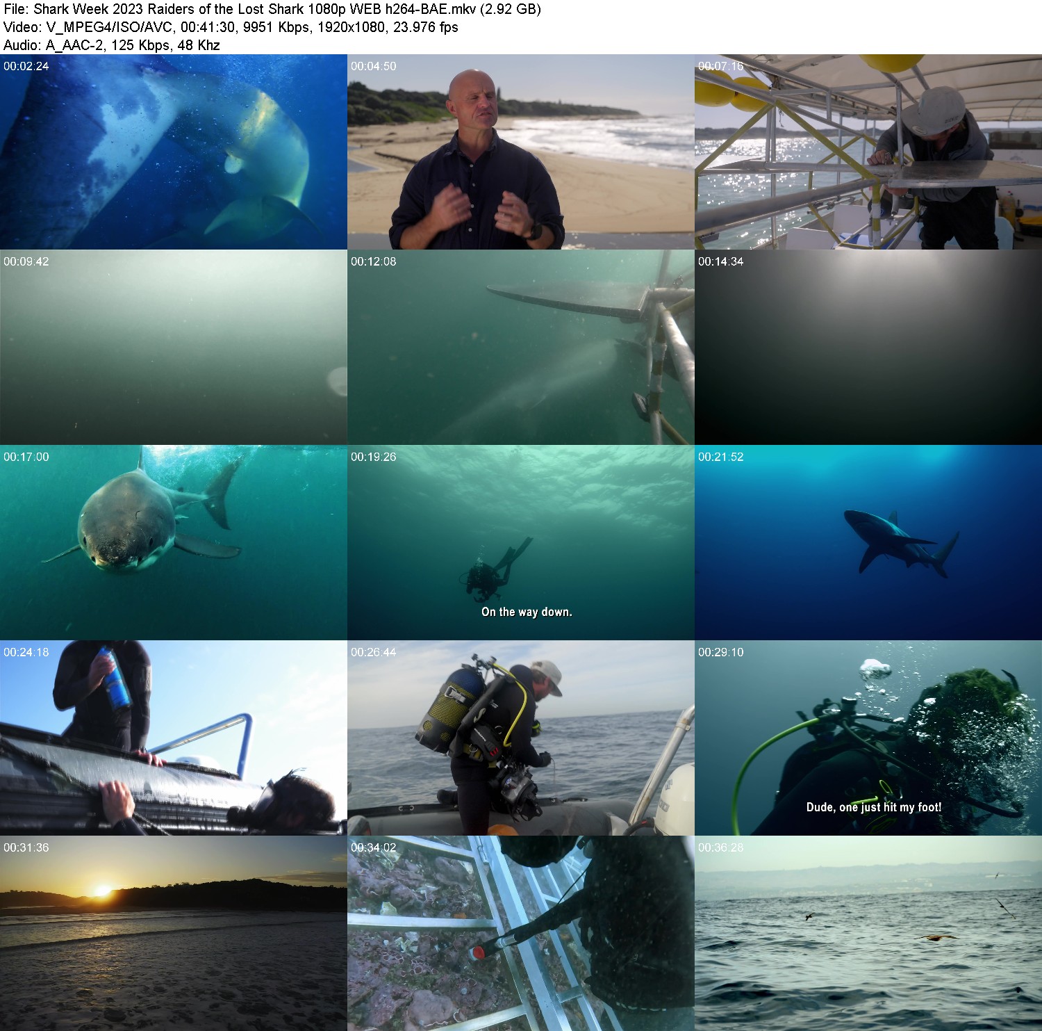 [Image: f5ku8f7w5npc.jpg]