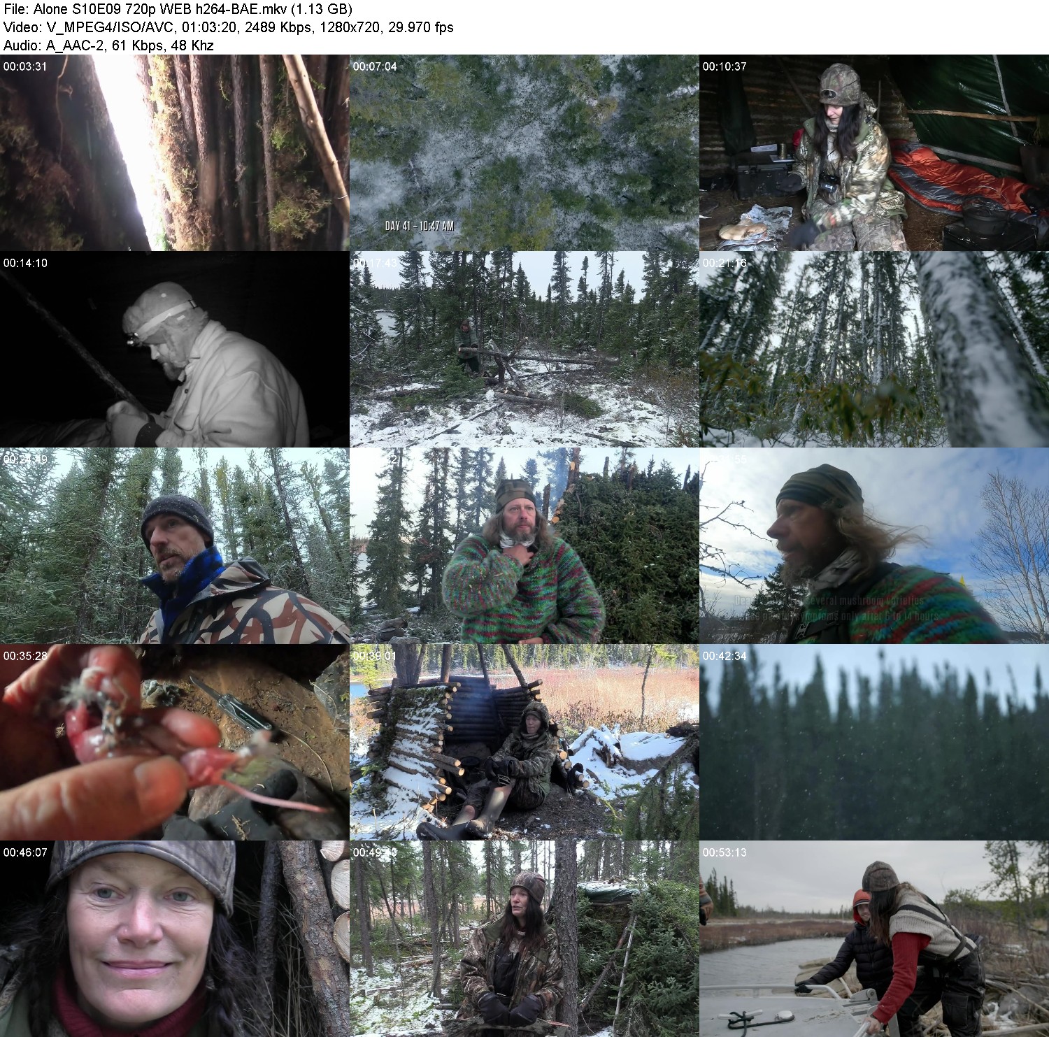 [Image: o65z9udxw7yl.jpg]