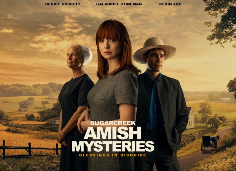 Sugarcreek Amish Mysteries Blessings In Disguise (2025) [1080p] WEB-DL (AVC) (x264)