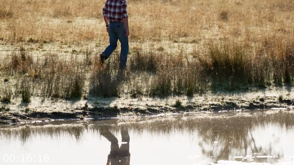 [Image: 3e2te4m3ubav.png]