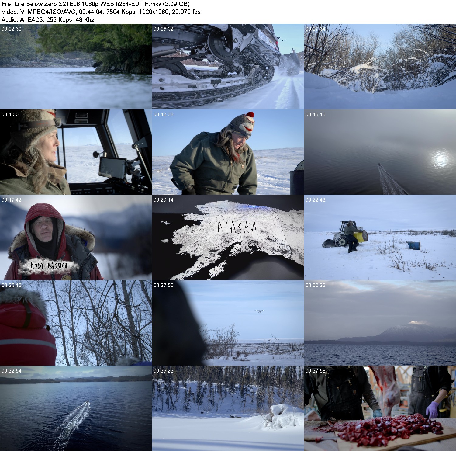 [Image: 0z2t2zzn3jyz.jpg]