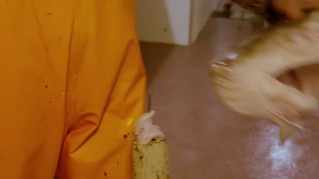 [Image: 8e6n7v6sjfoz.jpg]