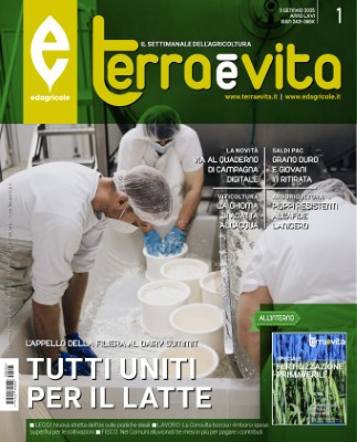 Terra e Vita N.01 - 03 Gennaio 2025