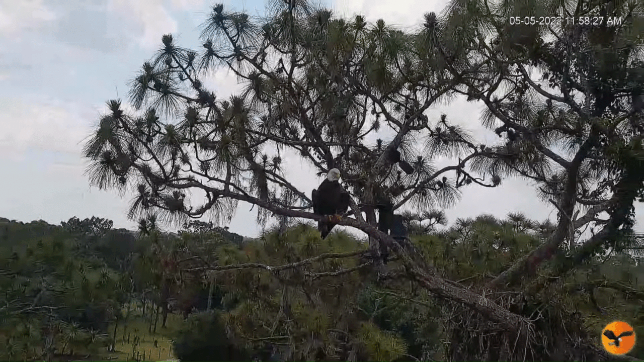 Webp.net-gifmaker (4)