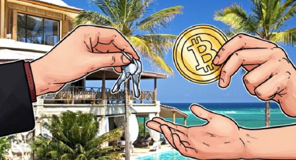 article content image