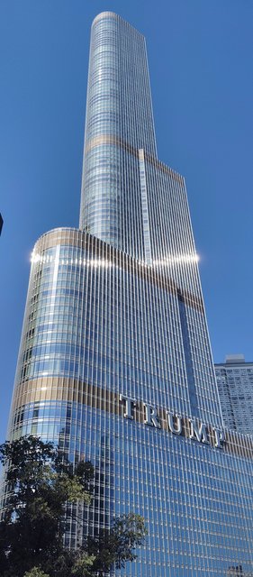 Caminando por Chicago: Esculturas, the Bean, lugares de películas y Torre Willis - Boston y Chicago (45)