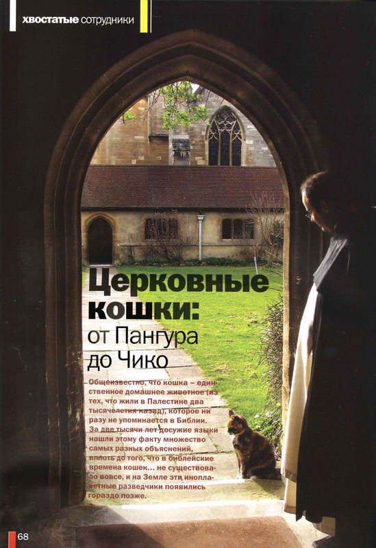 Друг кошек № 5 2009-63