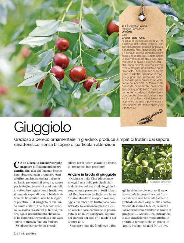 Il Mio Giar Set-Ott 2021 (2)