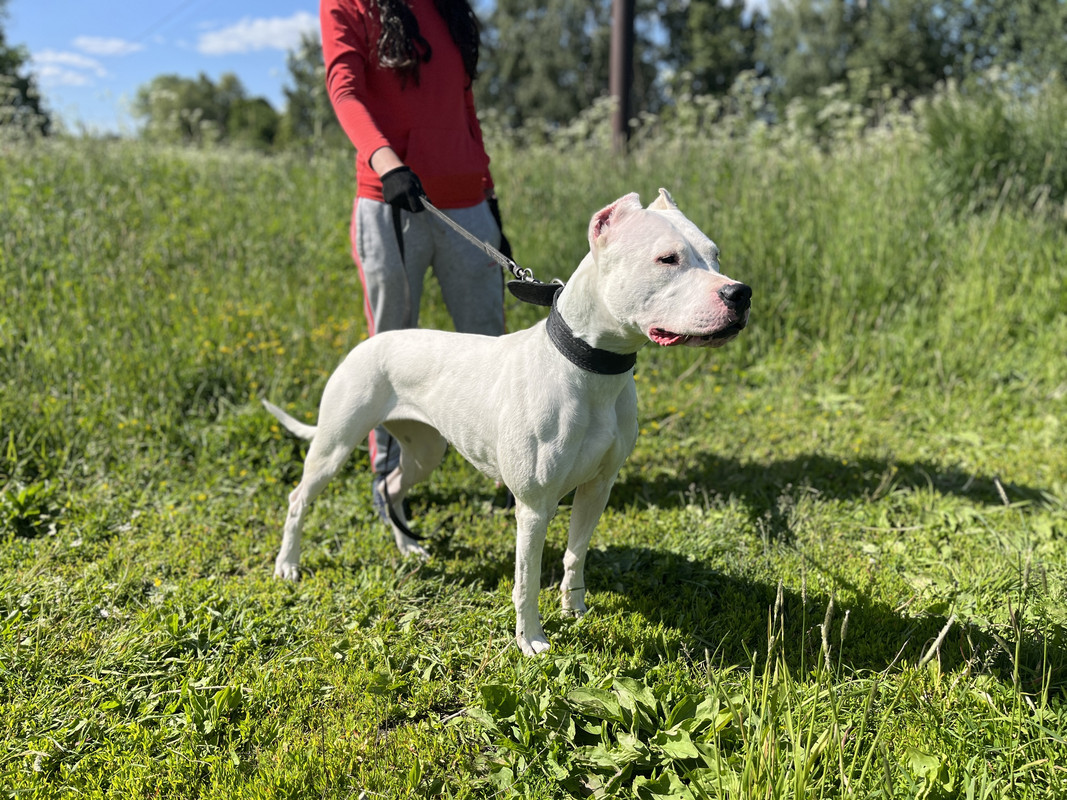 C201D4F4-6D21-416F-A7F9-D6E03BD1F643