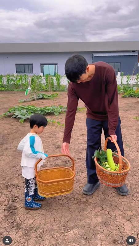 gal-9807354-20250625055025-db253d9