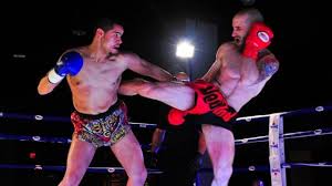 roundhouse-kick-2.jpg