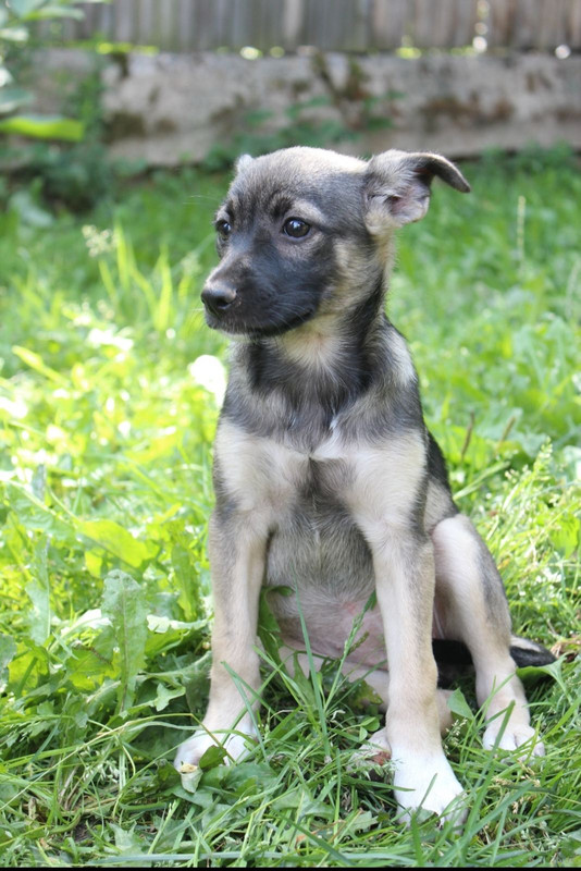 IMG-040608936f63c8d1738690dbc74d7d35-V