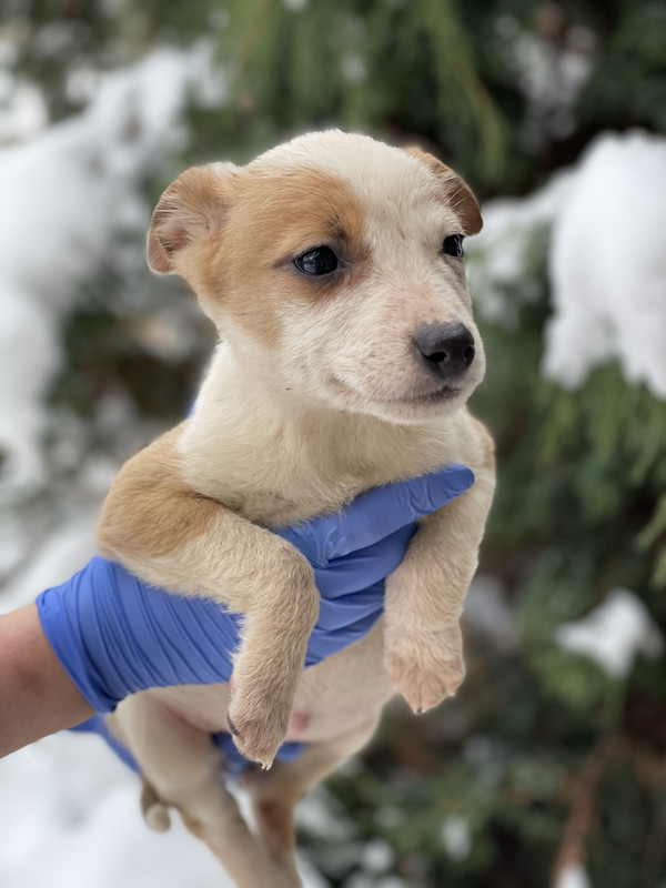 4A473C97-3D46-4F4B-83EB-BE8234090003