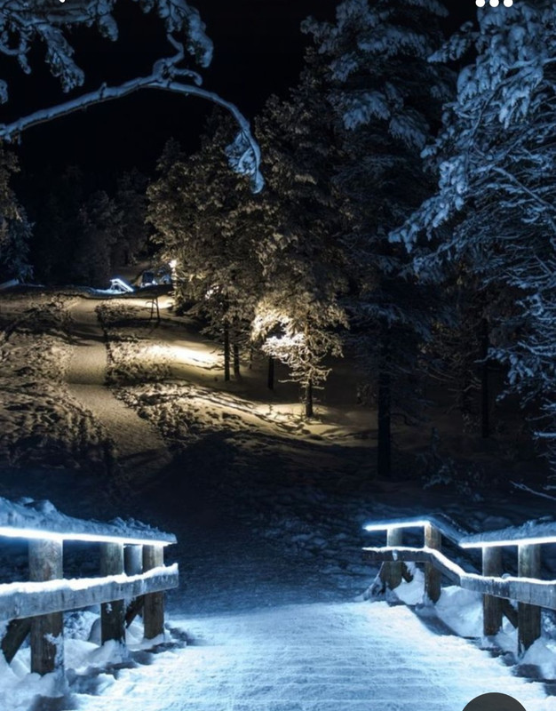 Screenshot_20231016_205156_Pinterest