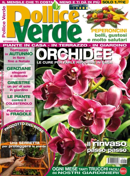 Pollice Verde N.128 - Settembre 2020