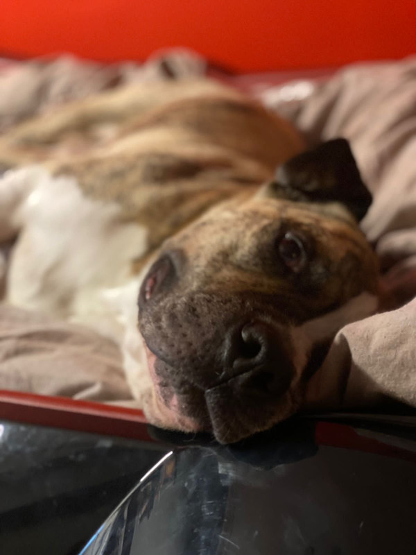 05B1F321-B9B1-4241-89F3-1A401A8E4E2E