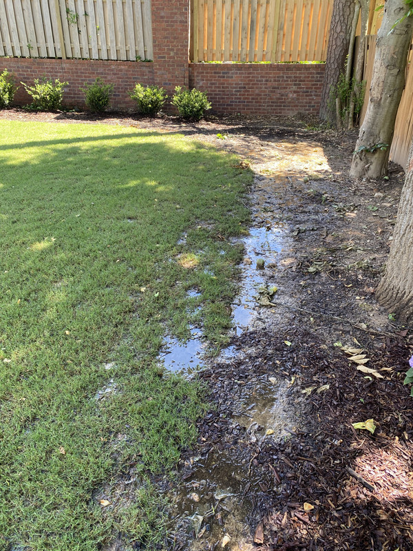 CD163703-2F10-4150-9298-74F5A51C544F