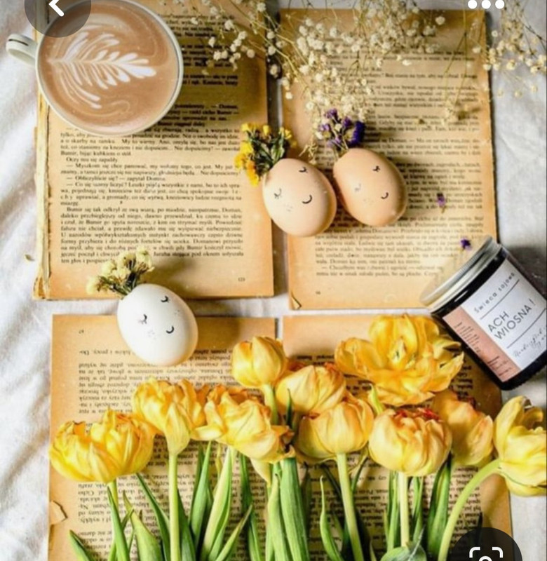 Screenshot_20230417_172359_Pinterest