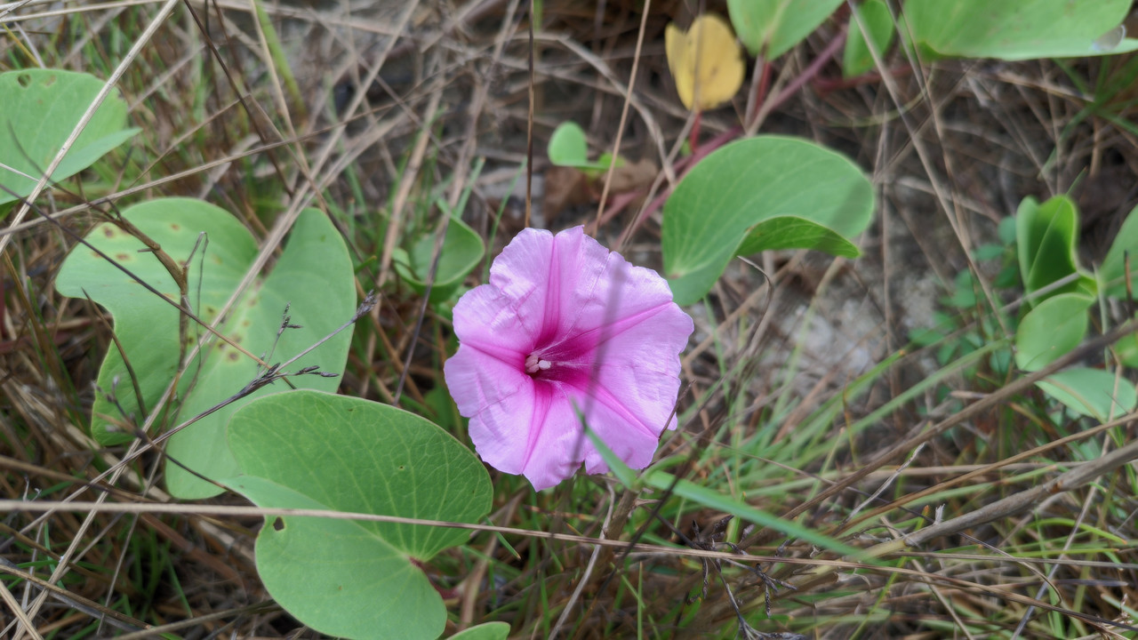 LMC-20241209-082521-lmc-8-4