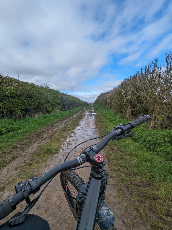 PXL_20240401_093748391