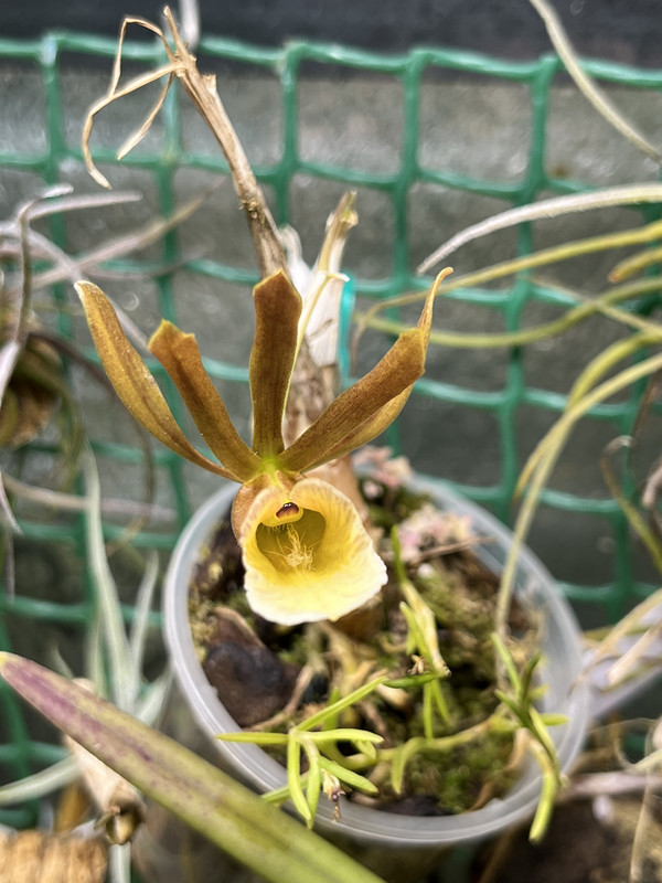 5840E82C-AC84-4BA6-B38E-89B092046166