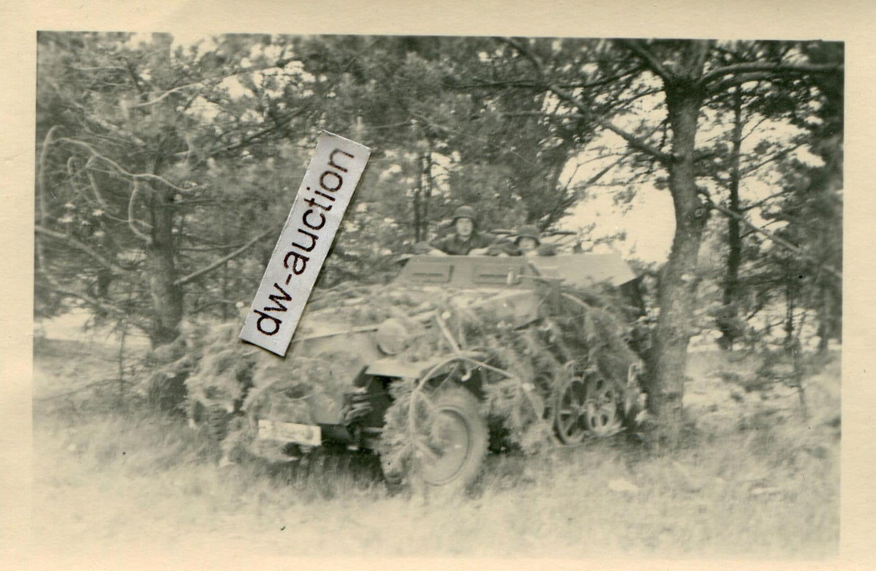 Sturmgeschütz Abt. , SdKfz Halbkette getarnt
